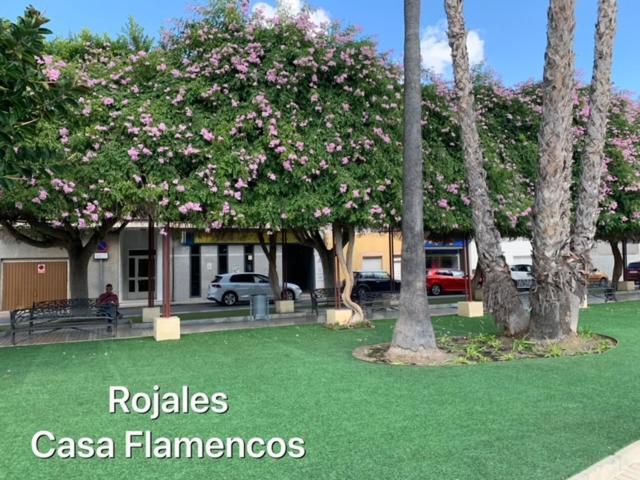 Casa Flamencos Villa Rojales Exterior photo